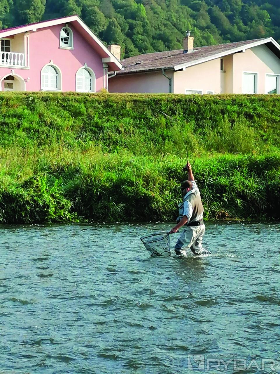 Zdolávanie pekného lipňa na rieke Poprad.